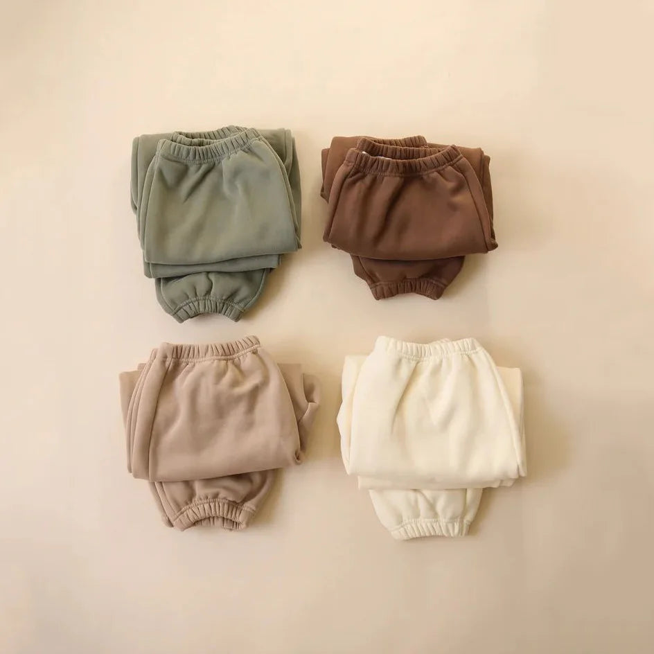 2Pcs Fleece Cotton Spandex Baby Clothes Sweatshirt + Pants